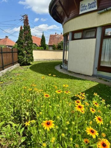 Апартаменти Cozy Garden Apartman Дьюла Екстер'єр фото