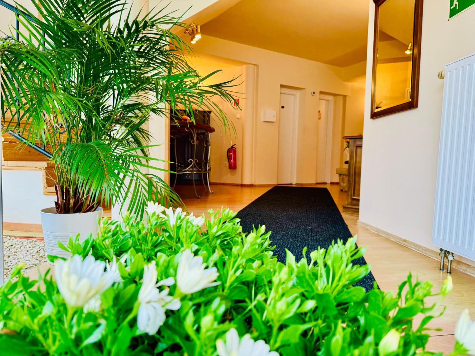 Апартаменти Cozy Garden Apartman Дьюла Екстер'єр фото